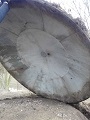 parabola-300cm